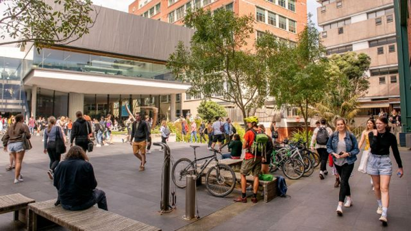 新西兰惠灵顿维多利亚大学一年学费